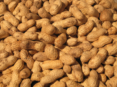 Peanuts